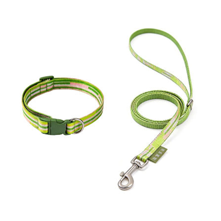 สายจูง TIANYUAN PET SRY0064 สีเขียว_0