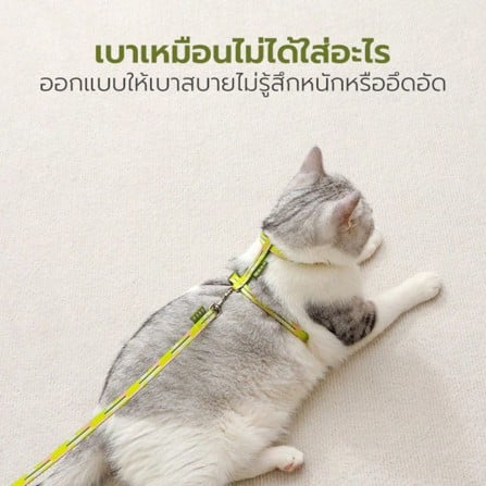 สายจูง TIANYUAN PET SRY0064 สีเขียว_3