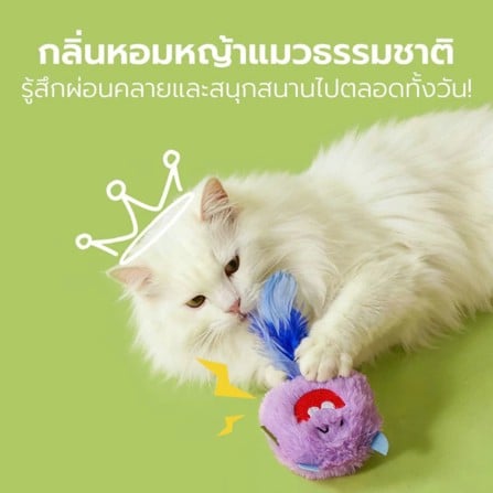 ของเล่นแมว TIANYUAN PET STZ0444 สีฟ้า_5
