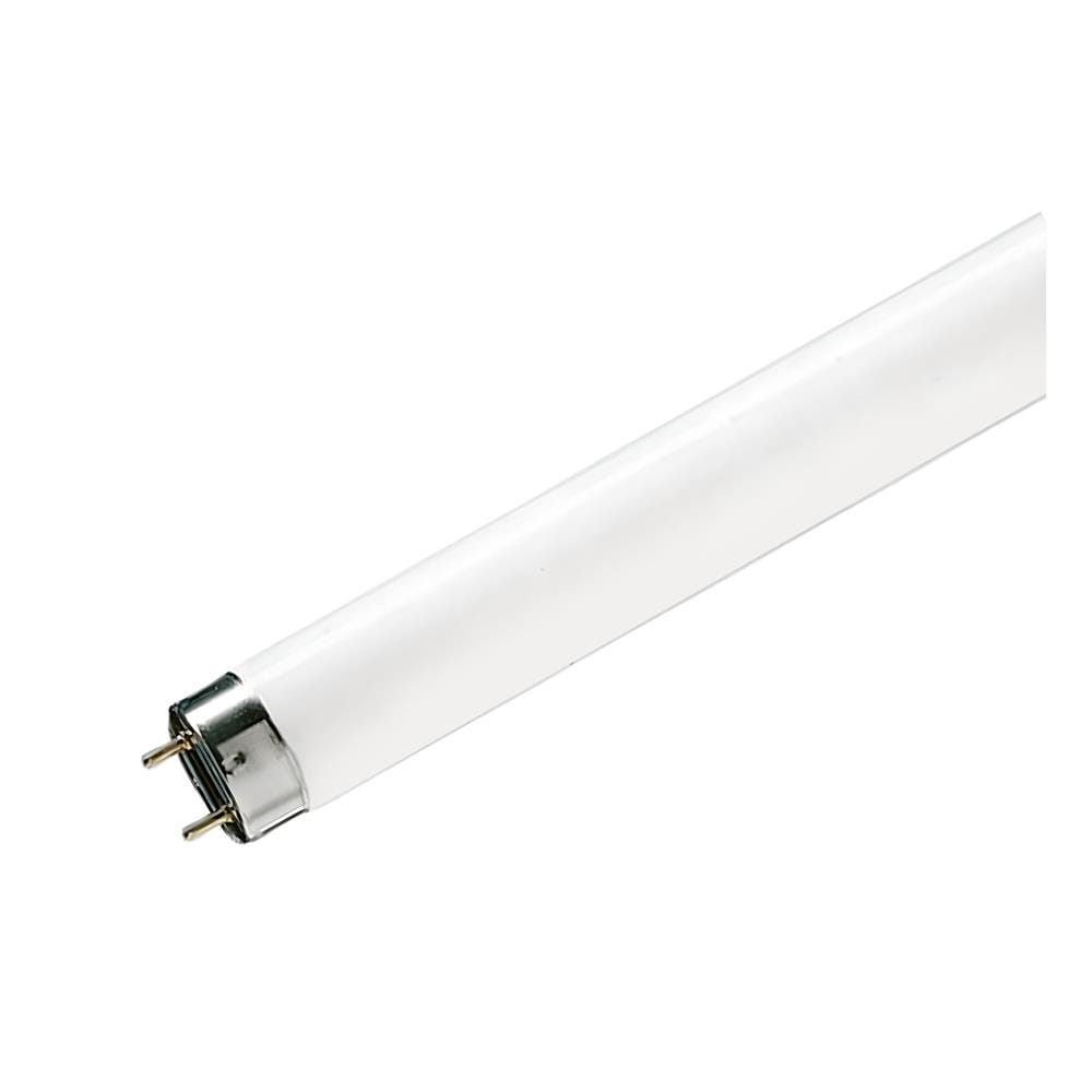 หลอดนีออนยาว PHILIPS TLD 36/86 36 วัตต์ DAYLIGHT