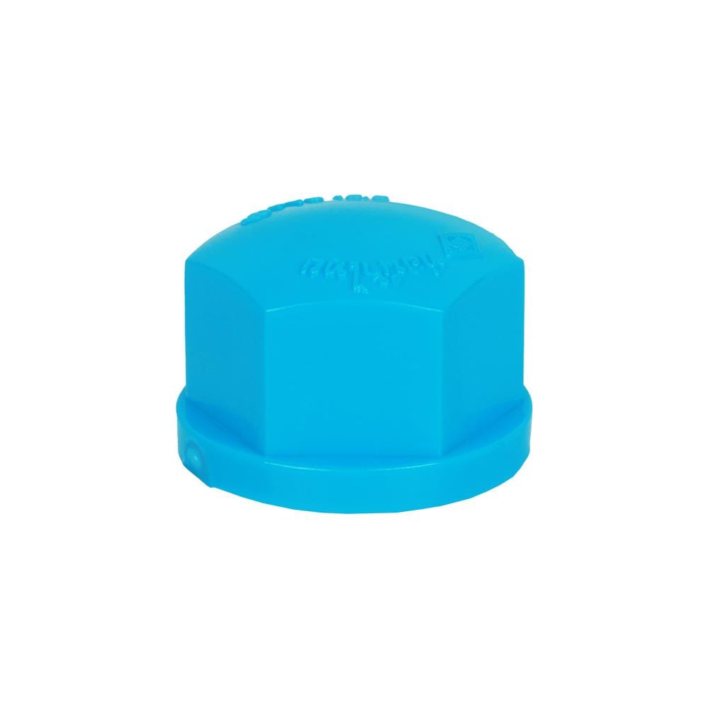 ฝาครอบเกลียว ท่อน้ำไทย 1/2" สีฟ้า