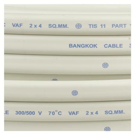 สายไฟ VAF BCC 2x4 ตร.มม. 100 ม. สีขาว_2