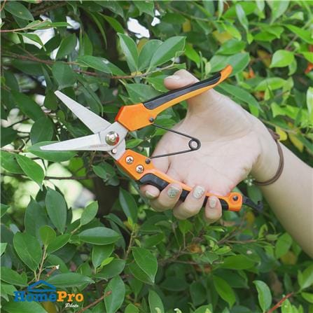กรรไกรตัดกิ่ง ปากตรง SPRING AN-PS-807C_4