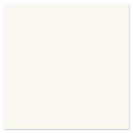 กระเบื้องพื้น 60x60 ซม. TARA ซุปเปอร์ไวท์นาโน II 1.44M2_0
