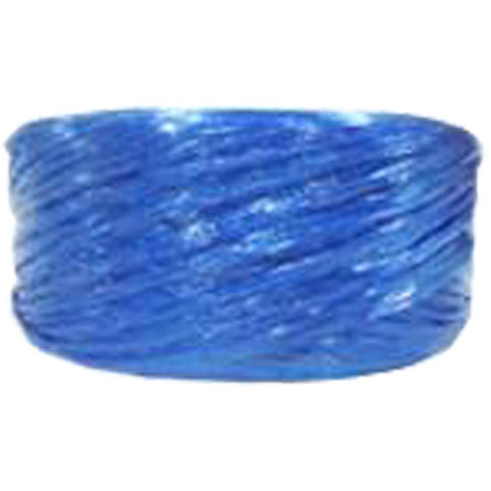 PLASTIC ROPE PANSIAM 2IN BLUE