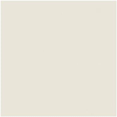 PORCELAIN  FLOOR TILE 60x60CM TARA GRANITTO BEIGENANO NEW 1.44M2