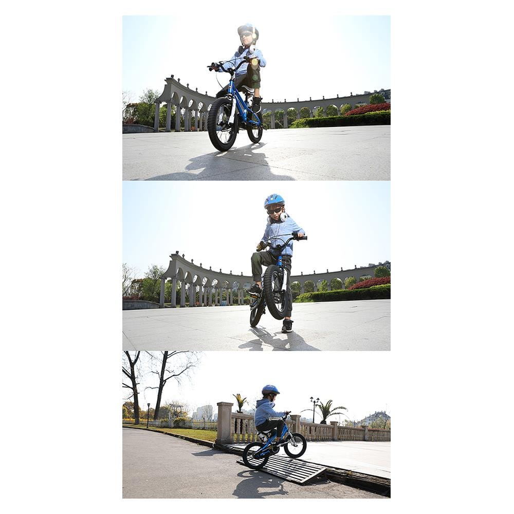 KIDS BIKE ROYAL BABY FREESTYLE 16IN BLUE