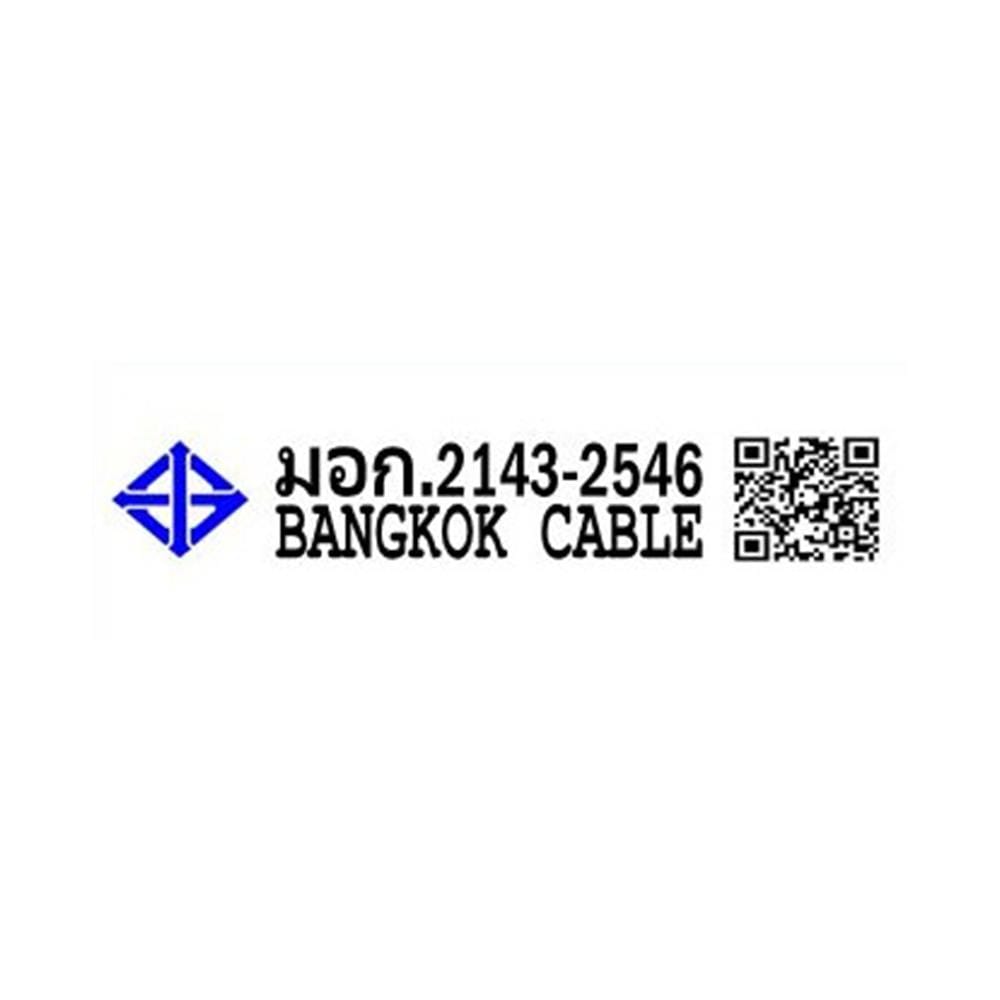 สายไฟ CV 0.6/1 kV BCC 2x4 ตร.มม. 100 ม. สีดำ