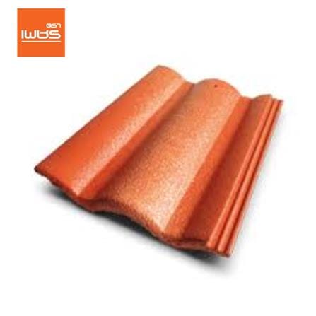 cate-Concrete Roof