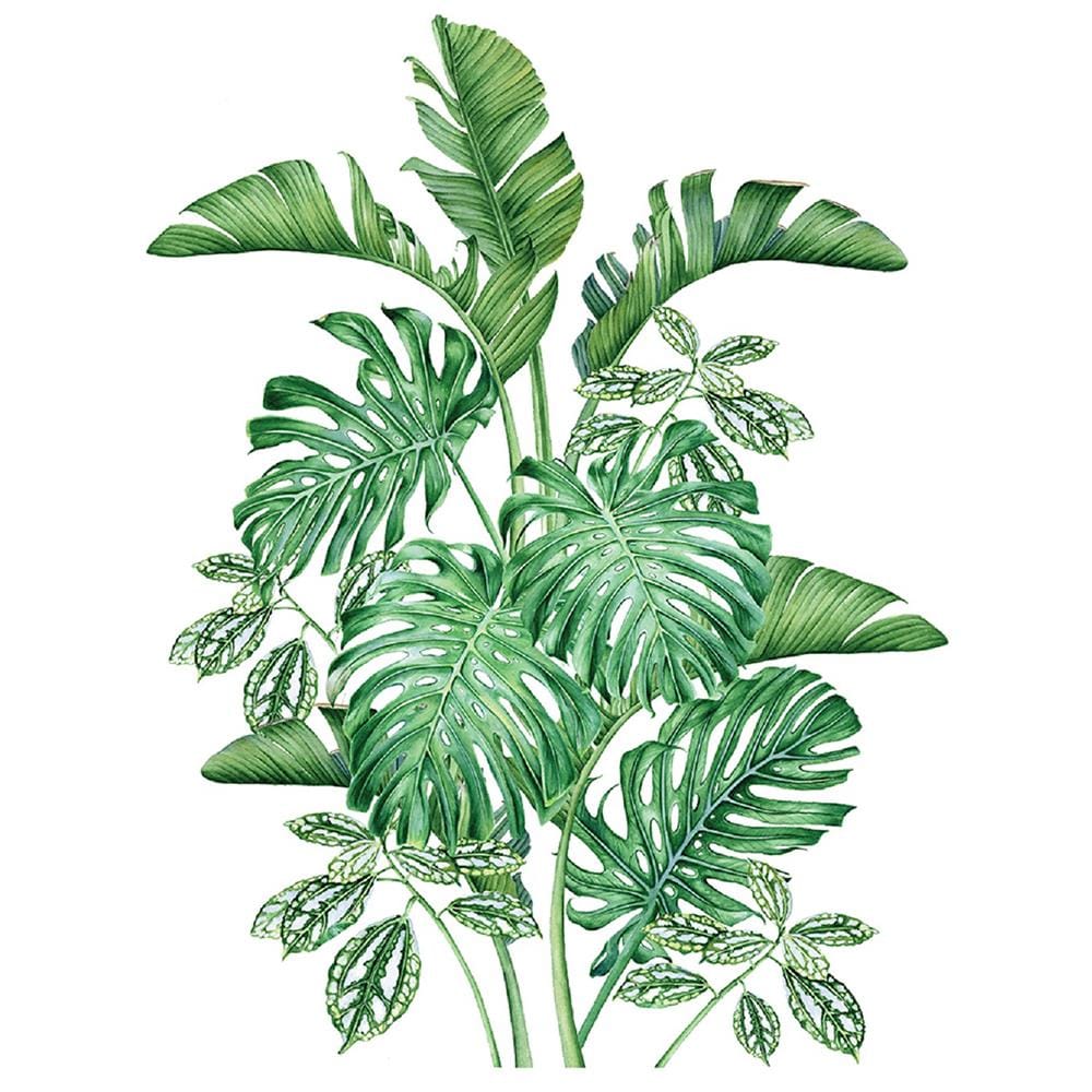 สติ๊กเกอร์ลอกน้ำ DIY HOME LIVING STYLE TROPICAL 34X47 ซม.