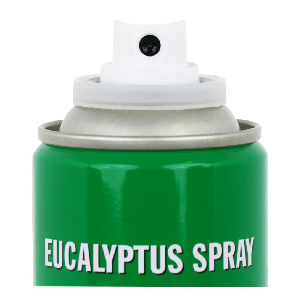 สเปรย์ปรับอากาศ KANGAROO  300ml EUCALYPTUS