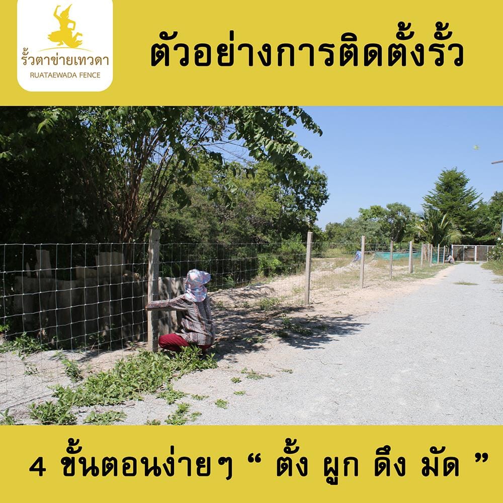 ตาข่ายถักปม เทวดา 8 เส้น 0.90X50 ม.