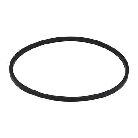 cate-Band Belt