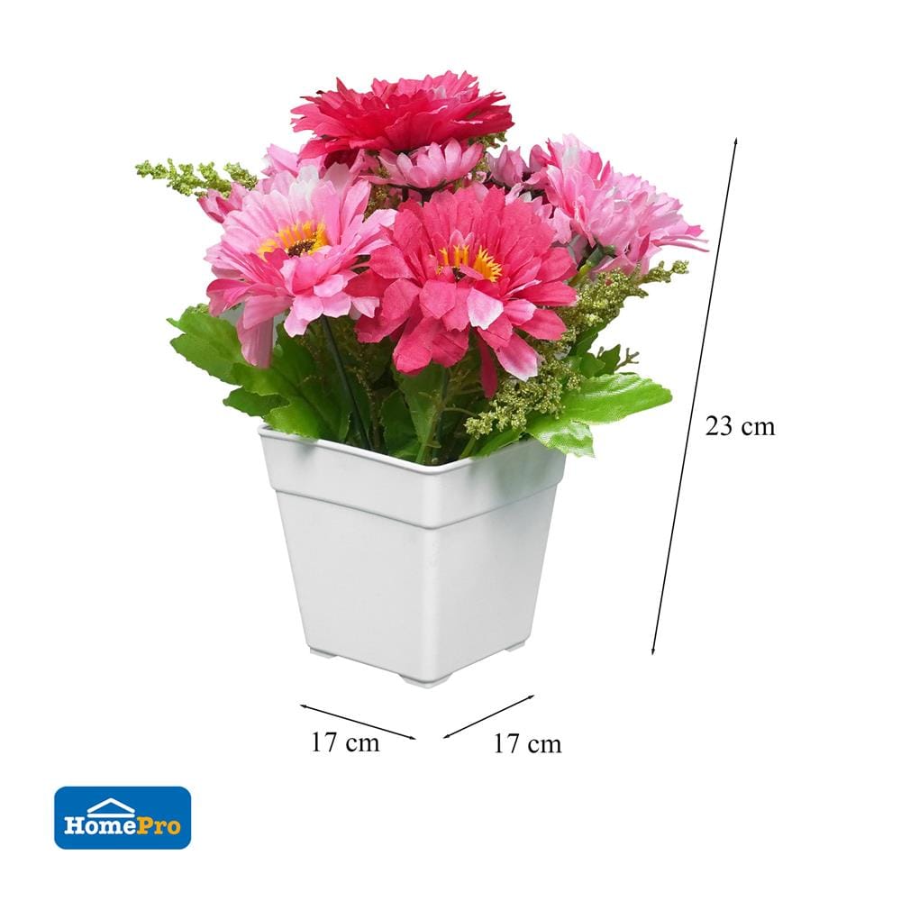 ดอกไม้ประดิษฐ์ในกระถาง ME LIVING DAISY สีชมพู