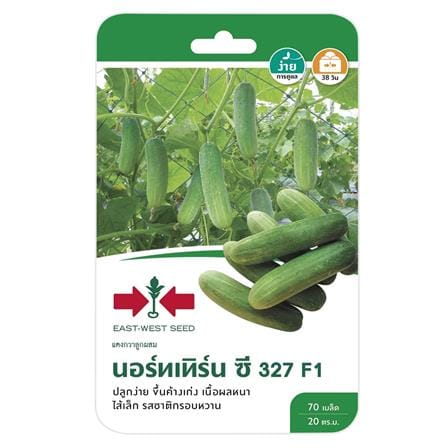 แตงกวา F1 นอร์ทเทิร์น ซี 327 ศรแดง_0