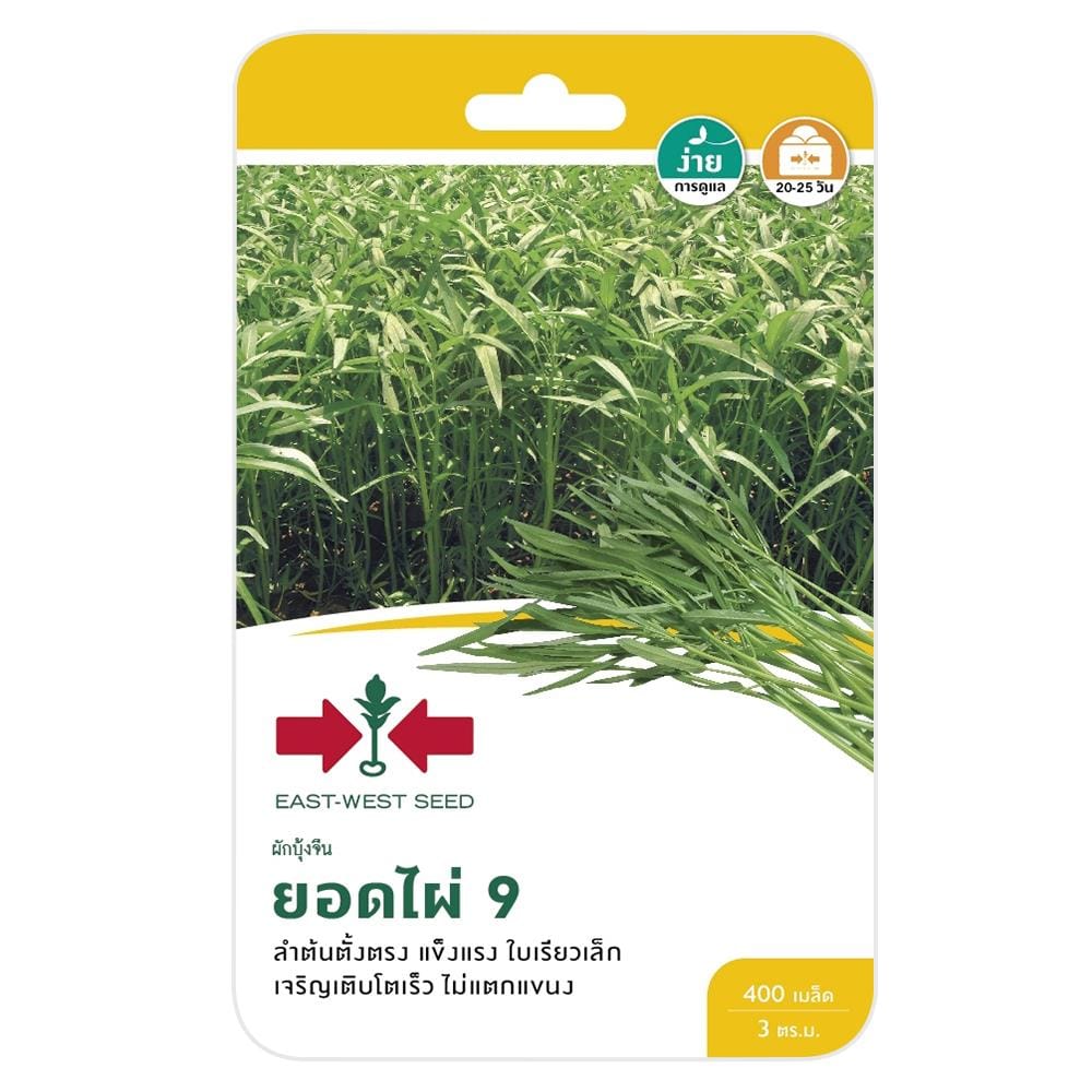 ผักบุ้งยอดไผ่ 9 ศรแดง