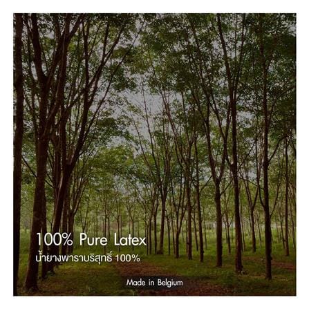 ที่นอนยางพารา 6 ฟุต LOTUS รุ่น NODIC_7