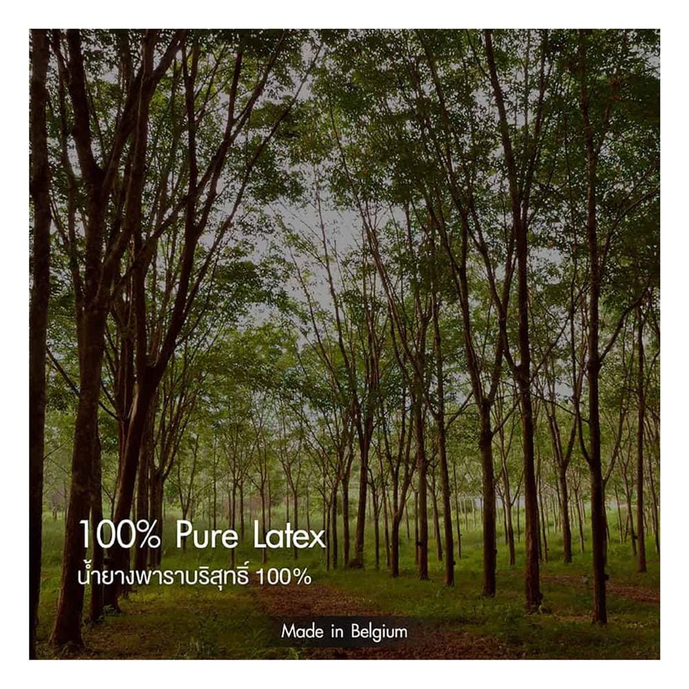 ที่นอนยางพารา 3.5 ฟุต LOTUS รุ่น ROYAL NODIC