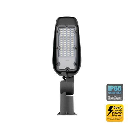 ไฟถนน LED LAMPTAN STREET TANK 30 วัตต์ DAYLIGHT สีเทา_0