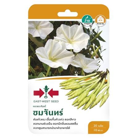 เมล็ดพันธุ์ดอกพระจันทร์ ชมจันทร์ ศรแดง
