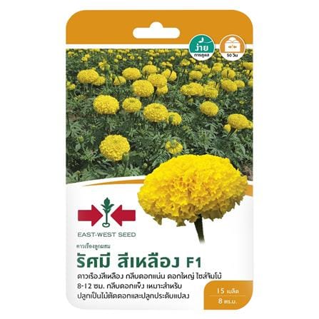 เมล็ดพันธุ์ดาวเรือง F1 รัศมี สีเหลือง ศรแดง_0