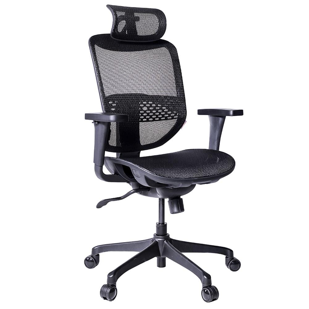 เก้าอี้เพื่อสุขภาพ ERGOTREND ERGO-JOY-PRO สีดำ