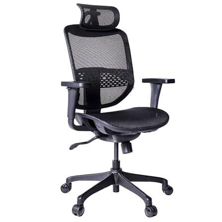 เก้าอี้เพื่อสุขภาพ ERGOTREND ERGO-JOY-PRO สีดำ_1