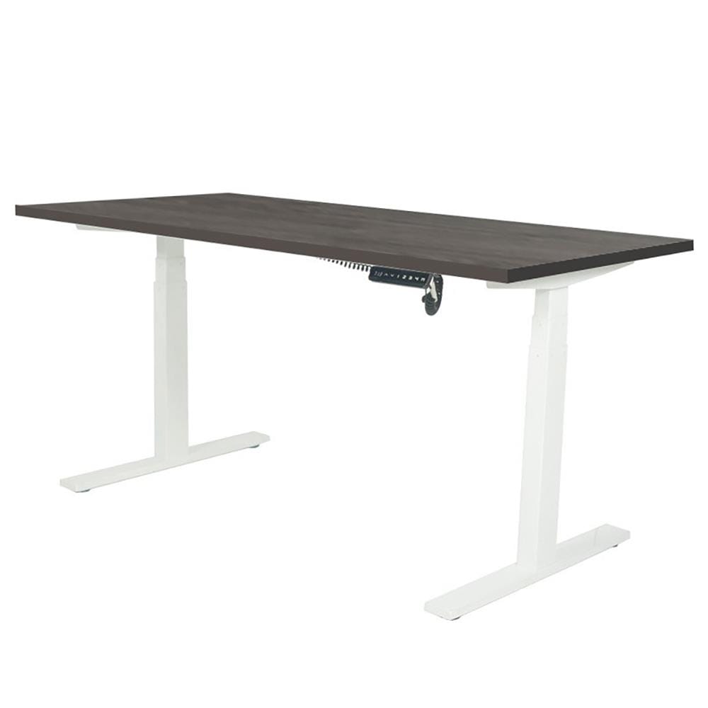 โต๊ะทำงานปรับระดับ ERGOTREND SIT 2 STAND Gen2A 120 ซม. สี TWILIGTH ELM/ขาว