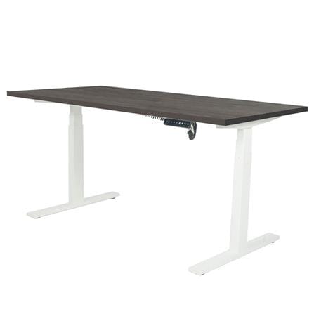 โต๊ะทำงานปรับระดับ ERGOTREND SIT 2 STAND Gen2A 120 ซม. สี TWILIGTH ELM/ขาว