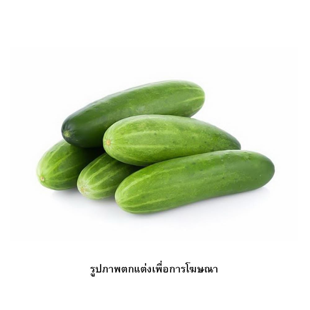 เมล็ดพันธุ์แตงกวา กรีน การ์เด้น
