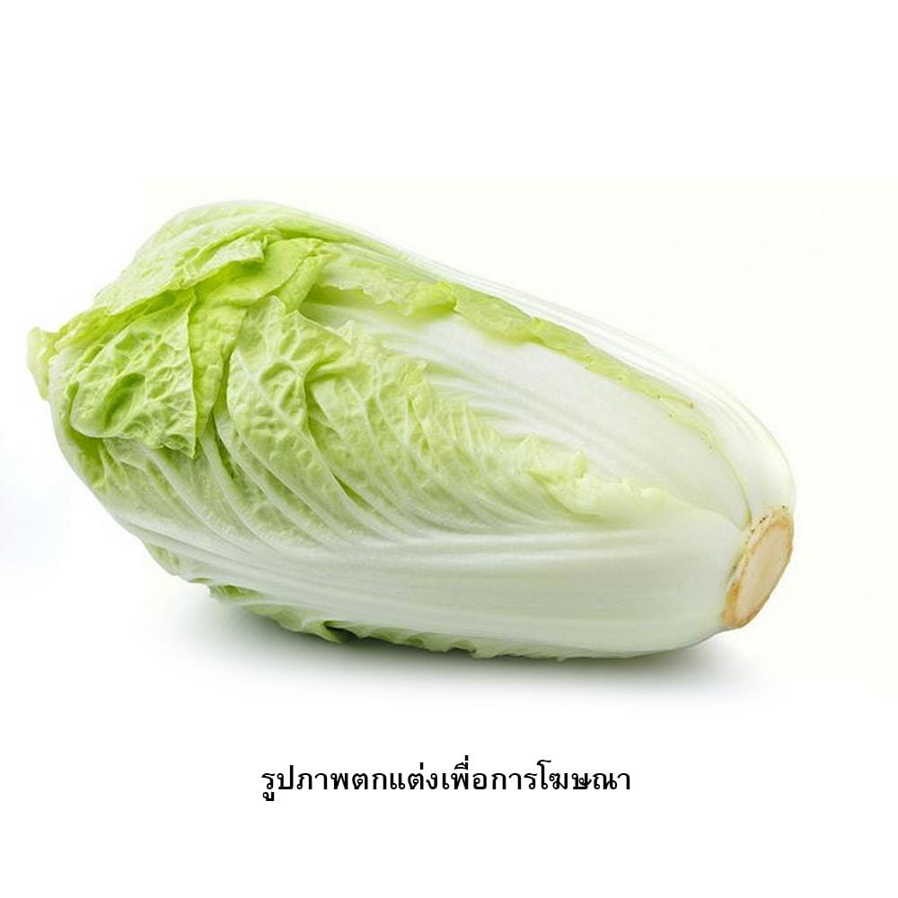 เมล็ดพันธุ์ผักกาดขาว กรีน การ์เด้น