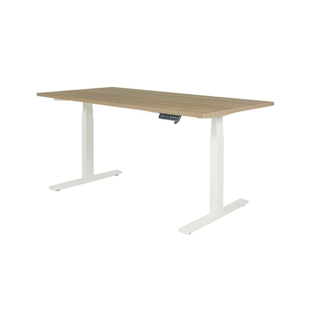 โต๊ะทำงานปรับระดับ ERGOTREND SIT 2 STAND Gen2A 120 ซม. สี SONOMA/ขาว