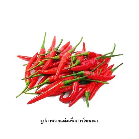 เมล็ดพันธุ์พริกชี้ฟ้า กรีน การ์เด้น_1