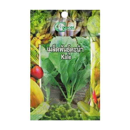 เมล็ดพันธุ์ผักคะน้าใบ กรีน การ์เด้น_0