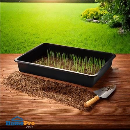 ถาดเพาะชำไม่มีรูระบายน้ำ SPRING 36x50 ซม. สีดำ_4