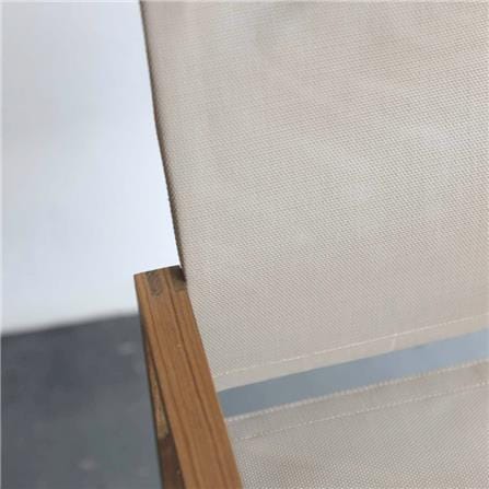 เก้าอี้ MODERN OUTDOOR PARC DIRECTOR สี TAUPE_2