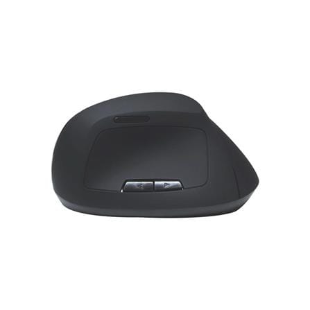 เมาส์ไร้สาย ANITECH ERGONOMIC W225_2