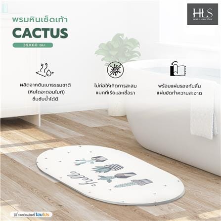 พรมหินเช็ดเท้า HOME LIVING STYLE CACTUS 39X60 ซม. สีเขียว_3