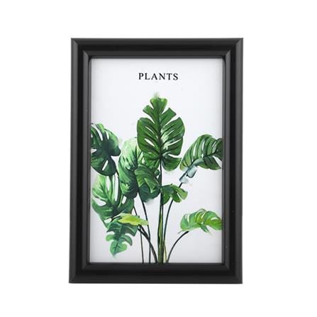 กรอบรูป PTS PLANTS 4x6 นิ้ว สีดำ_0