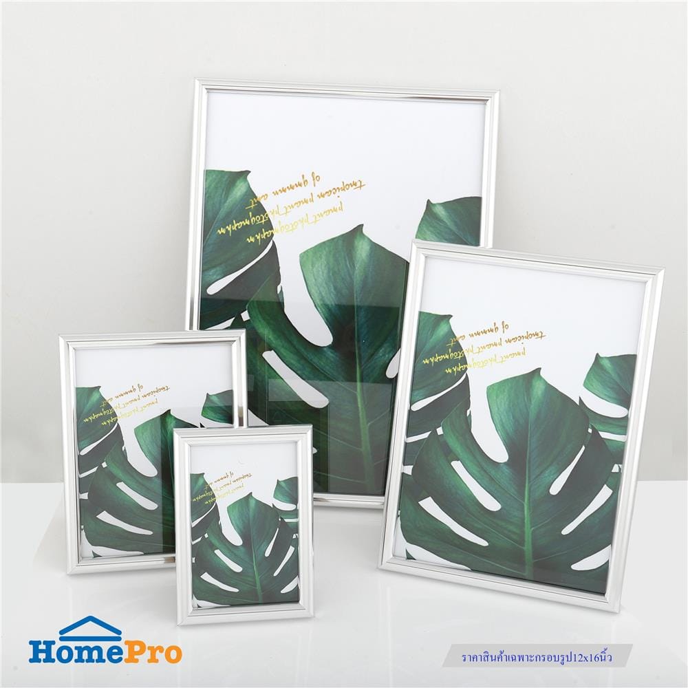 กรอบรูป PTS MONSTERA 11.7X16.5 นิ้ว (A3) สีเงิน