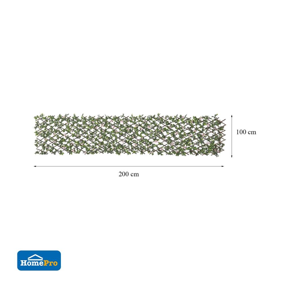 รั้วไม้อเนกประสงค์ ยืด-หด SPRING BERRY 200x100 ซม.