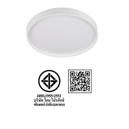 ไฟเพดาน LED CARINI ZY832-S 13 นิ้ว 24 วัตต์ DAYLIGHT สีขาว_6