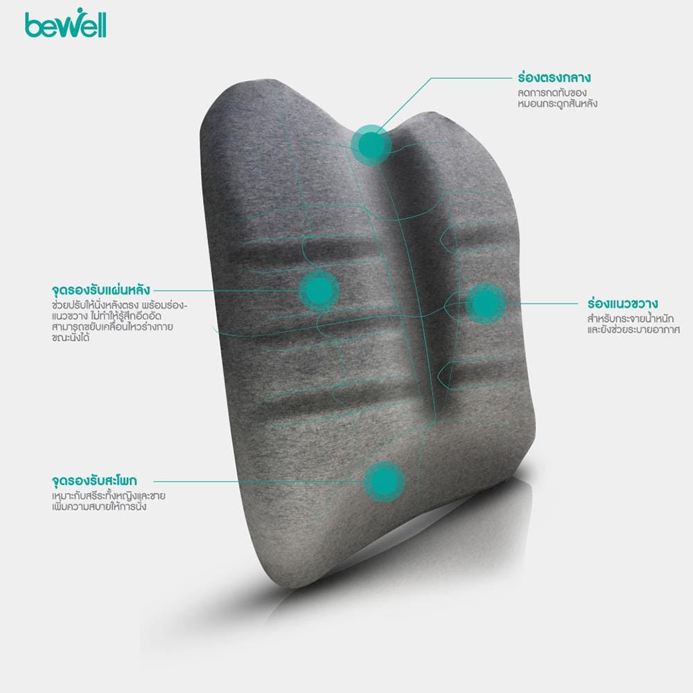 เบาะรองหลัง BEWELL EC01-CT สีเทา