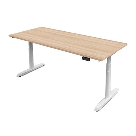 โต๊ะทำงานปรับระดับ ERGOTREND SIT 2 STAND GEN5 120 ซม. สี SHIMO ASH/ขาว_0