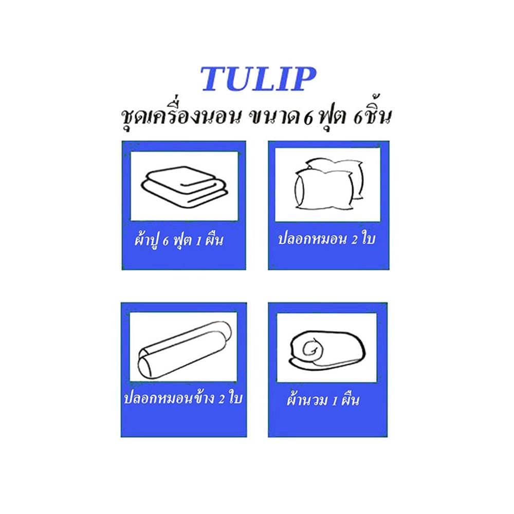ชุดผ้าปูที่นอน 6 ฟุต (ชุด 6 ชิ้น) TULIP ALIEN REMIX 60204-DLC098