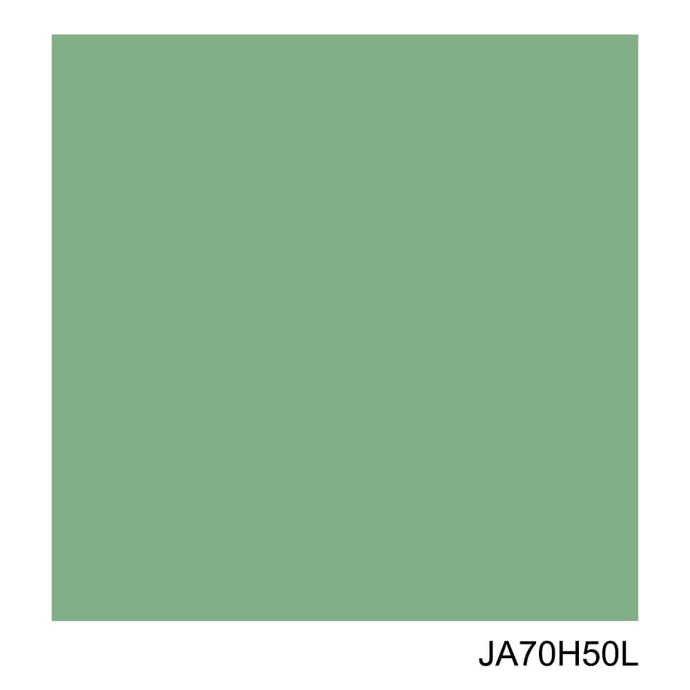 ฟิล์มกันความร้อน DIY CARDINAL JA70H50L 0.5X2 ม. สีเขียว
