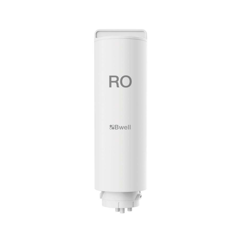 ไส้กรอง BWELL RO MEMBRANE