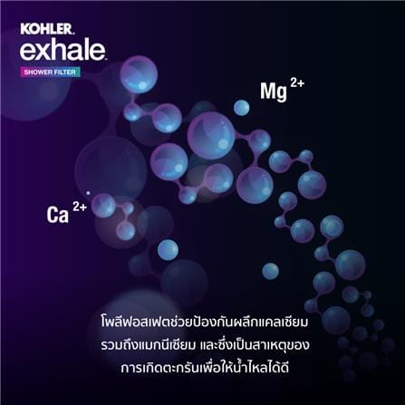 ตัวกรองอาบน้ำ KOHLER K-33001X-CP_5