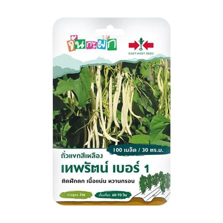 เมล็ดพันธุ์ ถั่วแขกสีเหลือง เทพรัตน์ เบอร์ 1 ศรแดง 100 เมล็ด_0