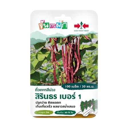 เมล็ดพันธุ์ ถั่วแขกสีม่วง สิรินธร เบอร์ 1 ศรแดง 100 เมล็ด_0